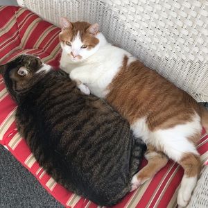 Meet your Posher, Melanie